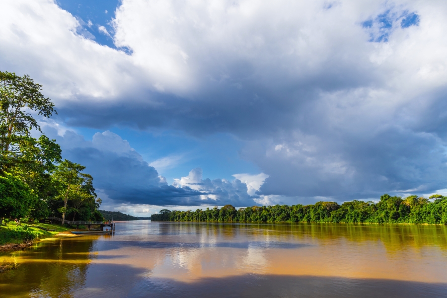 Explore the Nature Reserves and Parks in Suriname by Car