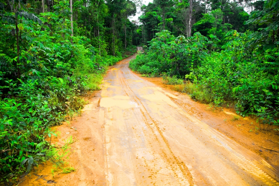 Things to Expect When Driving in Suriname’s Interior