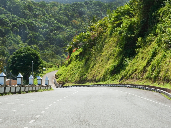 How to Plan a Family Road Trip Across Suriname
