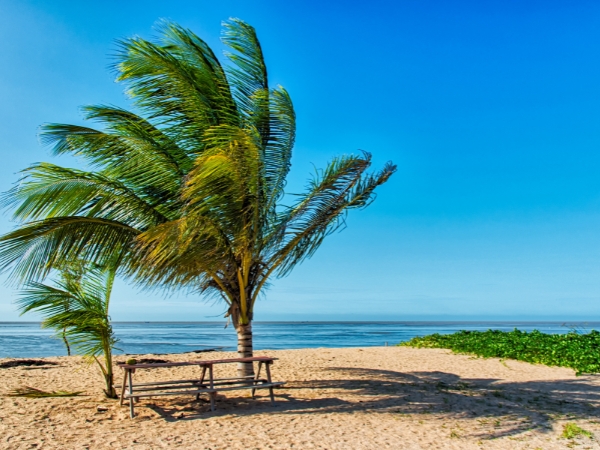 Ultimate Guide to the Best Beaches in Suriname